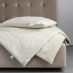 Набор 2 одеяла + подушки Camel (172х205  шт 70х70 шт) PRIME PRIVE prmp960749