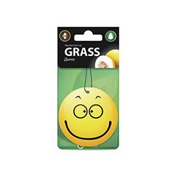 ароматизатор воздуха картонный  Smile дыня\ GRASS ST 0399