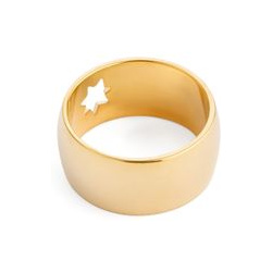 Jewlia Специальная коллекция Chandon x Poison Drop  Позолоченное кольцо из серебра с звездой 24655