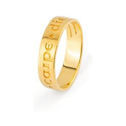 11 Jewellery Позолоченное кольцо Credo из серебра «Лови момент» 440944