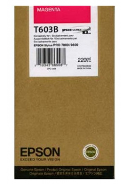 Epson  C13T603B00