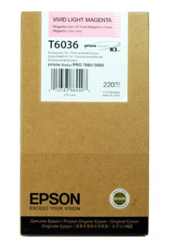 Epson  C13T603600