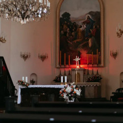 Инструментальная музыка Римско католический храм Лурдской Богоматери  Органный концерт «Бах и кино»