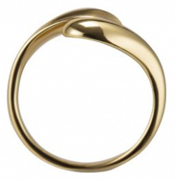 женское кольцо EKONIKA EN47311 gold silver 23L