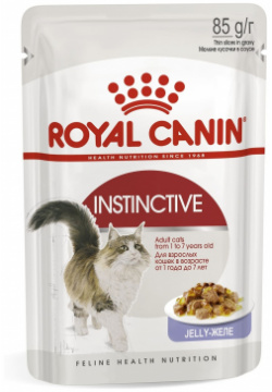 Royal Canin паучи кусочки в желе для кошек 1 7 лет (85 г) 