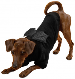 Tappi одежда толстовка "Дракула" для собак  черный (L)