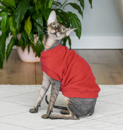 Tappi одежда жилет для кошек "Моди"  красный (M)