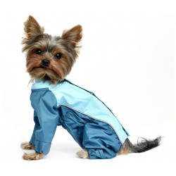 Tappi одежда дождевик для собак "Исонадэ" (XS) Дождевики изготовлены из